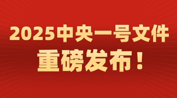 2025年中央一号文件,中央一号文件出台,中央一号文件,宅基地,聚焦中央一号文件