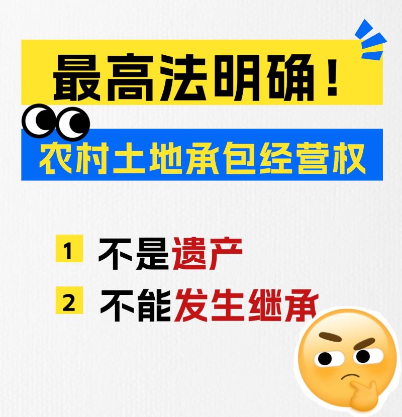 教育留学避坑误区备忘录套装小红书封面 (4).jpg