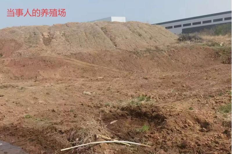 盛廷律所案件当事人的养殖场.jpg