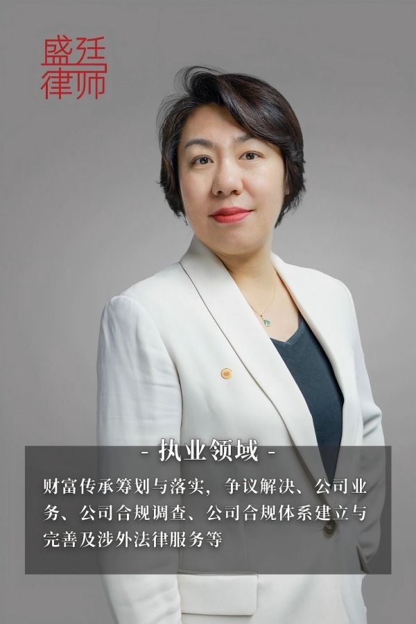 张宁宁律师个人海报-盛廷律所(1).jpg
