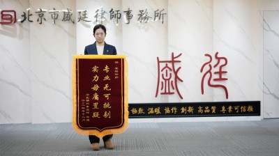 2024年12月湖北鄂州秦昌伟赠北京市盛廷律师事务所翟祎律师锦旗（专业无可挑剔 实力毋庸置疑）.jpg