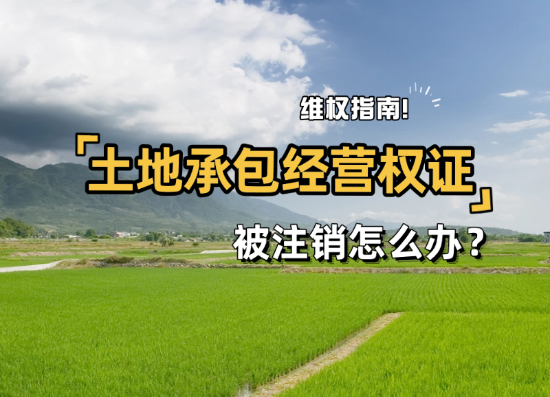 稿定智能设计202503121040(1) (5).png