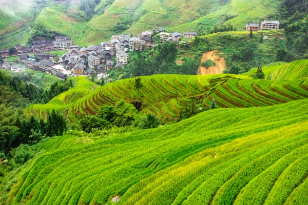 摄图网_700379885_广西省桂林市4A景区龙脊梯田(企业商用).jpg