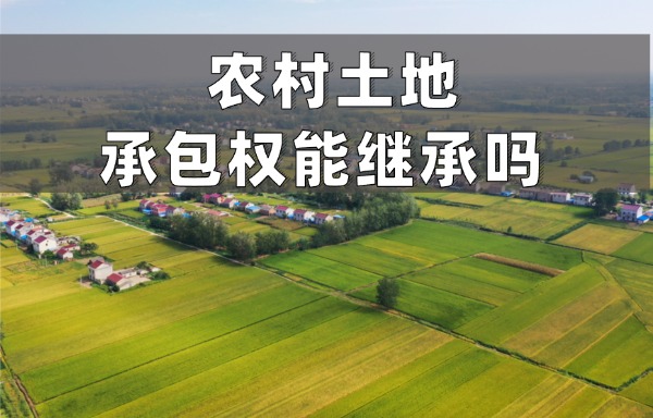 农村土地继承盛廷律师普法.jpg