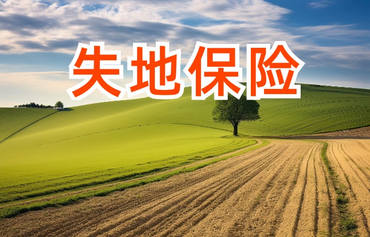 副本_政务法律新闻党政融媒体公众号首图(2) (7).jpg