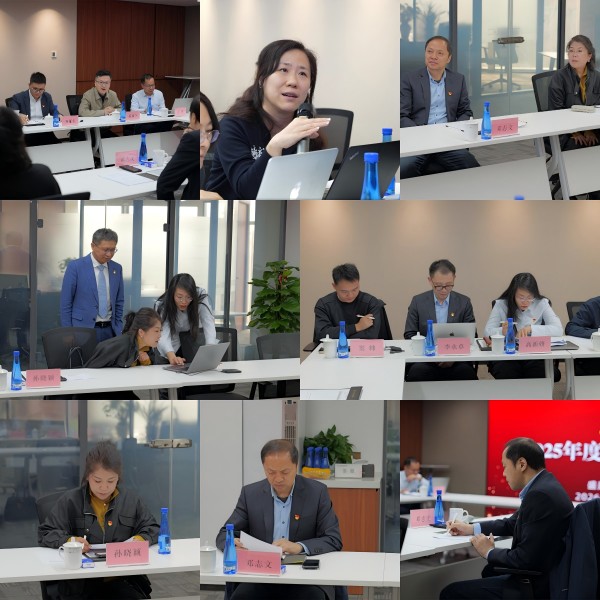 盛廷党总支召开2025年度组织生活会..jpg