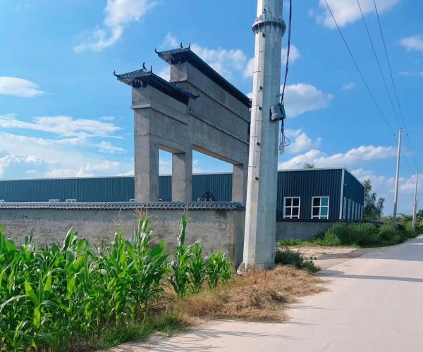 山东集体土地占用案-案涉地块现状.jpg